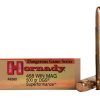 Hornady Dangerous Game Superformance Ammunition 458 Winchester Magnum 500 Grain DGS Solid Round Nose Box of 20