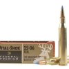 Federal Premium Ammunition 25-06 Remington 100 Grain Nosler Ballistic Tip Box of 20
