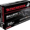 Winchester Ballistic Silvertip Varmint Ammunition 243 Winchester 55 Grain Fragmenting Polymer Tip Box of 20
