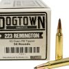 Dogtown Ammunition 223 Remington 53 Grain Polymer Tip Flat Base
