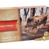 Norma TipStrike Ammunition 243 Winchester 76 Grain Polymer Tip Flat Base Box of 20