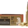 Federal Premium Varmint Ammunition 243 Winchester 70 Grain Nosler Ballistic Tip Box of 20