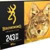 Browning BXV Varmint Expansion Ammunition 243 Winchester 65 Grain Polymer Tip Rapid Expansion Box of 20