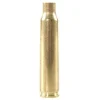 Remington Brass 223 Remington Bag of 100