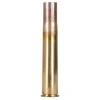 Hornady Brass 470 Nitro Express Box of 20