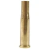 Remington Brass 22 Hornet Bag of 100