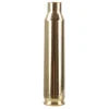 Federal Premium Gold Medal Brass 223 Remington Bag of 100